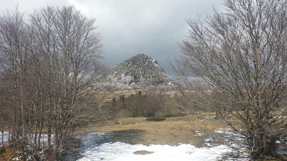 Loire-Gerbier-Mezenc Lejlighed Sainte-Eulalie  Eksteriør billede